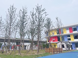 银杏百果园