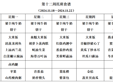 新塘幼儿园第十二周托班食谱